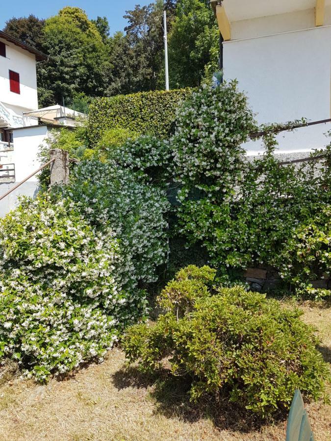 MiazzinaLa Palma别墅 外观 照片
