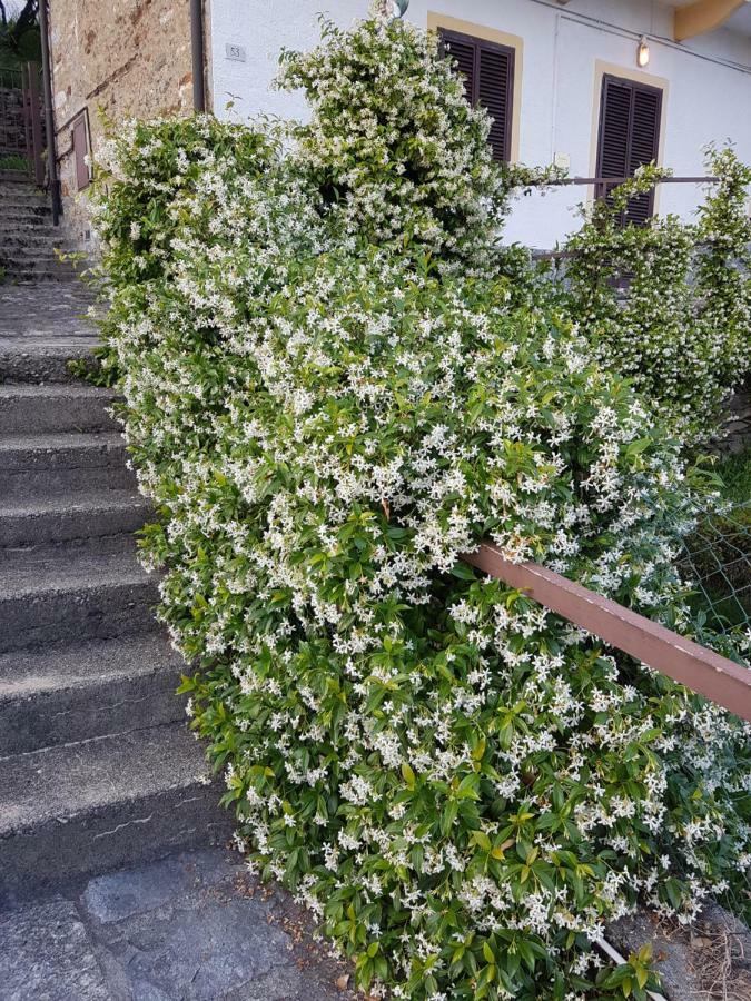 MiazzinaLa Palma别墅 外观 照片